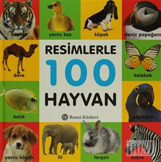 Resimlerle 100 Hayvan